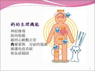 神經傳導 肌肉收縮 維持心跳數正常 賀爾蒙與內分泌的協調 維護免疫系統 使血液凝固 　 