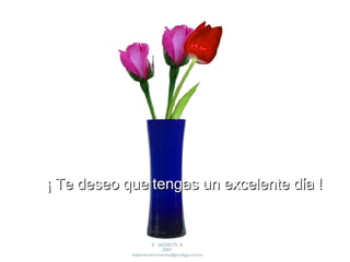 ¡ Te deseo que tengas un excelente día !