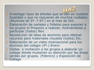    Investigar tipos de árboles que se dan en nuestra
    localidad y que no requieran de muchos cuidados
    (Alumnos de 5º. Y 6º.) en el mes de Oct.
   Elaboración de carteles y folletos para exponer a
    los grupos el Proyecto a realizar, motivándolos a
    participar (todos) Nov.
   Recolección de latas de aluminio para obtener
    recursos para materiales visuales (todos) Dic.
   Elaboración de un video motivacional para los
    alumnos del colegio (4º.) Enero
   Visitas e invitación a los grupos a elaborar un
    collage donde muestren su atención por las áreas
    verdes por grupos. (Febrero) y Exposición de
    Collage
 