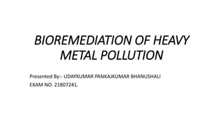 BIOREMEDIATION OF HEAVY
METAL POLLUTION
Presented By:- UDAYKUMAR PANKAJKUMAR BHANUSHALI
EXAM NO. 21807241.
 