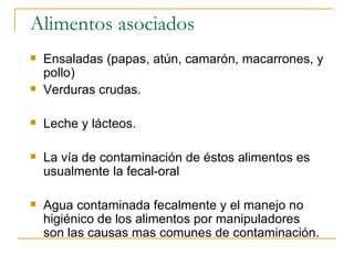 Alimentos asociados
 Ensaladas (papas, atún, camarón, macarrones, y
pollo)
 Verduras crudas.
 Leche y lácteos.
 La vía de contaminación de éstos alimentos es
usualmente la fecal-oral
 Agua contaminada fecalmente y el manejo no
higiénico de los alimentos por manipuladores
son las causas mas comunes de contaminación.
 