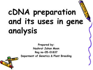 cDNA preparation
and its uses in gene
analysis
Prepared by:
Nushrat Jahan Moon
Reg no-05-01837
Deparment of Genetics & Plant Breeding
 