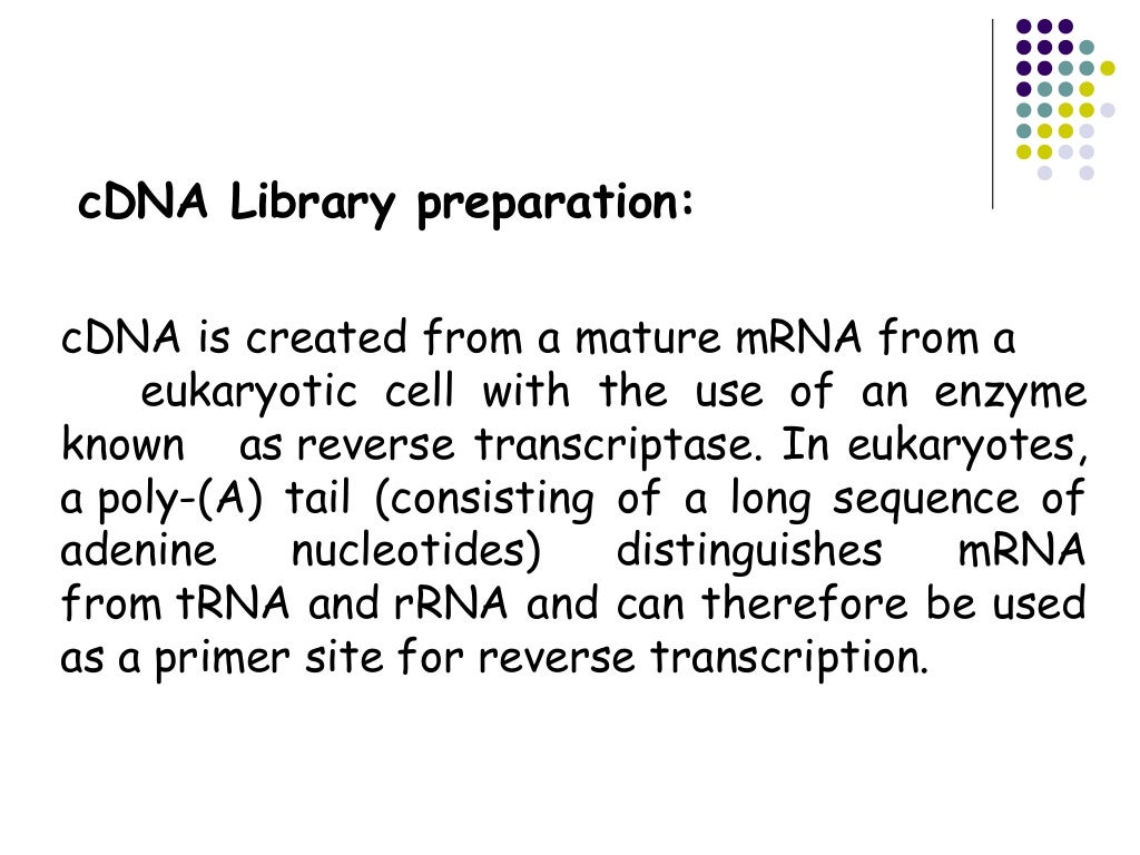 CDNA Library preparation. ppt for Jamil sir
