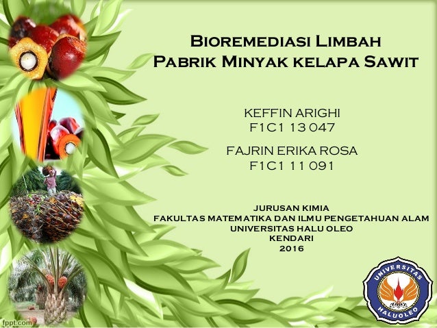 BIOREMEDIASI LIMBAH PADAT PABRIK MINYAK KELAPA SAWIT BIOREMEDIASI LIMBAH PADAT PABRIK MINYAK KELAPA SAWIT