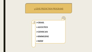5 GENE PREDICTION PROGRAMS
GRAIL
AUGUTUS
GENSCAN
HMMGENE
MZEF
 