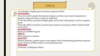 GENSCAN
To identify complete gene structures in genomic DNA.
FEATURES:
•It can be used to predict the location of genes and their exon-intron boundaries in
genomic sequences from a variety of organisms.
• it has the ability to predict multiple genes and to deal with partial as well as complete
genes.
•It has the ability to predict consistent sets of genes occurring on either or both strands
of the DNA.
ALGORITHM:
Based on GHMM Program
INPUT:
DNA sequence or protein
OUTPUT:
Predicts peptides; predicts geneexon together with corresponding predicted sequence,
shows location of DNA strand of each predicted exon.
SPECIES:
Vertebrate, Arabidopsis, Maize.
 