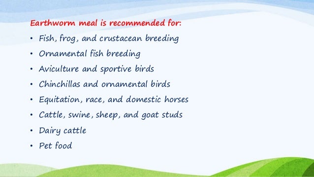 Feeding cholesterol to sheep