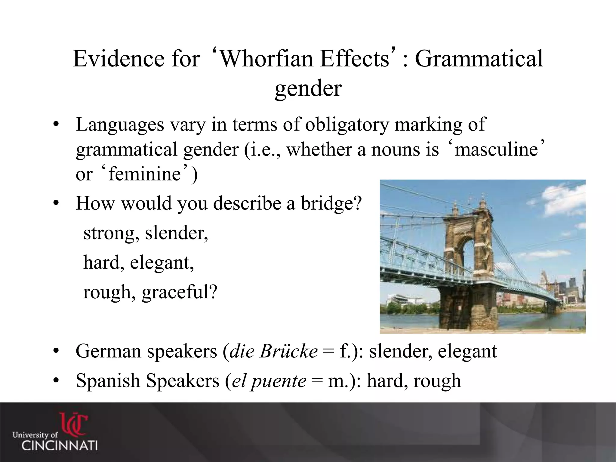 Evidence for ‘Whorfian Effects’: Grammatical
gender
• Languages vary in terms of obligatory marking of
grammatical gender (i.e., whether a nouns is ‘masculine’
or ‘feminine’)
• How would you describe a bridge?
strong, slender,
hard, elegant,
rough, graceful?
• German speakers (die Brücke = f.): slender, elegant
• Spanish Speakers (el puente = m.): hard, rough
 