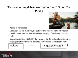 Piraha Math Words ANTH1007 Language, Thought and Culture | PPTX