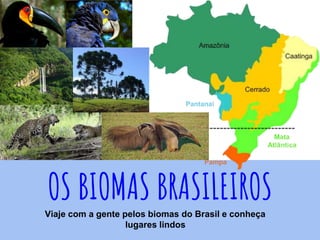 OS BIOMAS BRASILEIROS
Viaje com a gente pelos biomas do Brasil e conheça
lugares lindos
 