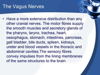 The Vagus Nerves
• Have a more extensive distribution than any
other cranial nerves. The motor fibres supply
the smooth muscles and secretory glands of
the pharynx, larynx, trachea, heart,
oesophagus, stomach, intestines, pancreas,
gall bladder, bile ducts, spleen, kidneys,
ureter and blood vessels in the thoracic and
abdominal cavities.The sensory fibres
convey impulses from the lining membranes
of the same structures to the brain.
 