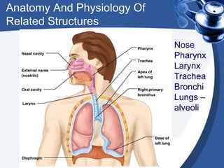 Anatomy And Physiology Of
Related Structures
Nose
Pharynx
Larynx
Trachea
Bronchi
Lungs –
alveoli
 