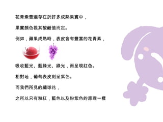 植物的色素