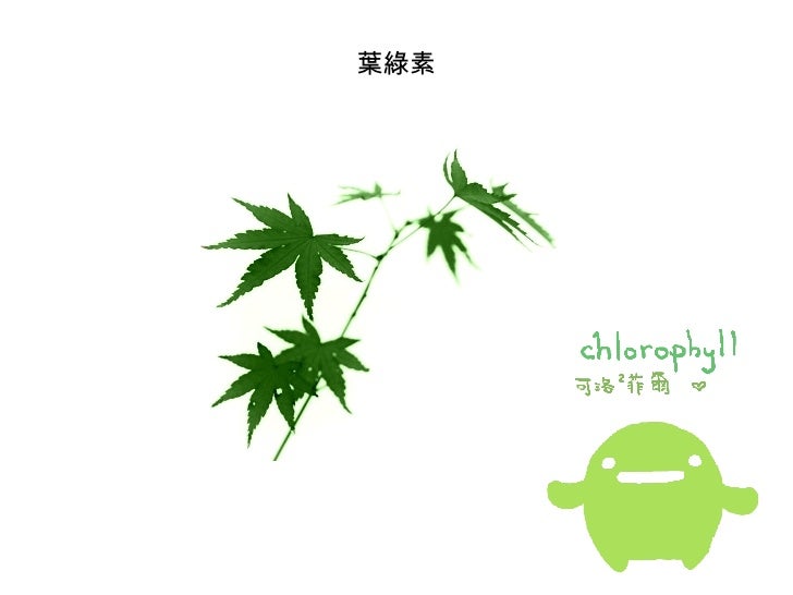 植物的色素