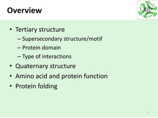 Super secondary structure 2024 of protein ppt