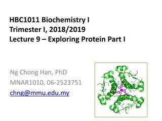 HBC1011 Biochemistry I
Trimester I, 2018/2019
Lecture 9 – Exploring Protein Part I
Ng Chong Han, PhD
MNAR1010, 06-2523751
chng@mmu.edu.my
 