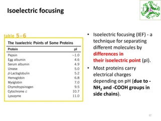 Isoelectric focusing
• Isoelectric focusing (IEF) - a
technique for separating
different molecules by
differences in
their isoelectric point (pI).
• Most proteins carry
electrical charges
depending on pH (due to -
NH2 and -COOH groups in
side chains).
17
 