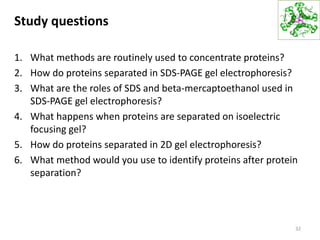 Study questions
1. What methods are routinely used to concentrate proteins?
2. How do proteins separated in SDS-PAGE gel electrophoresis?
3. What are the roles of SDS and beta-mercaptoethanol used in
SDS-PAGE gel electrophoresis?
4. What happens when proteins are separated on isoelectric
focusing gel?
5. How do proteins separated in 2D gel electrophoresis?
6. What method would you use to identify proteins after protein
separation?
32
 