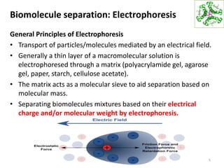 Biomolecule separation: Electrophoresis
General Principles of Electrophoresis
• Transport of particles/molecules mediated by an electrical field.
• Generally a thin layer of a macromolecular solution is
electrophoresed through a matrix (polyacrylamide gel, agarose
gel, paper, starch, cellulose acetate).
• The matrix acts as a molecular sieve to aid separation based on
molecular mass.
• Separating biomolecules mixtures based on their electrical
charge and/or molecular weight by electrophoresis.
5
 