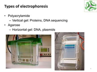 Types of electrophoresis
• Polyacrylamide
– Vertical gel: Proteins, DNA sequencing
• Agarose
– Horizontal gel: DNA, plasmids
6
 