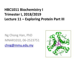 HBC1011 Biochemistry I
Trimester I, 2018/2019
Lecture 11 – Exploring Protein Part III
Ng Chong Han, PhD
MNAR1010, 06-2523751
chng@mmu.edu.my
 