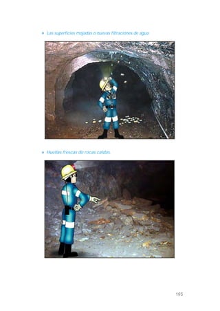 Las superficies mojadas o nuevas filtraciones de agua.
Huellas frescas de rocas caídas.
195
 