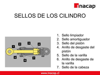 SELLOS DE LOS CILINDRO
1. Sello limpiador
2. Sello amortiguador
3. Sello del pistón
4. Anillo de desgaste del
pistón
5. Sello de la varilla
6. Anillo de desgaste de
la varilla
7. Sello de la cabeza
 