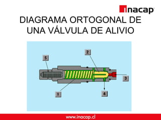 DIAGRAMA ORTOGONAL DE 
UNA VÁLVULA DE ALIVIO 
 