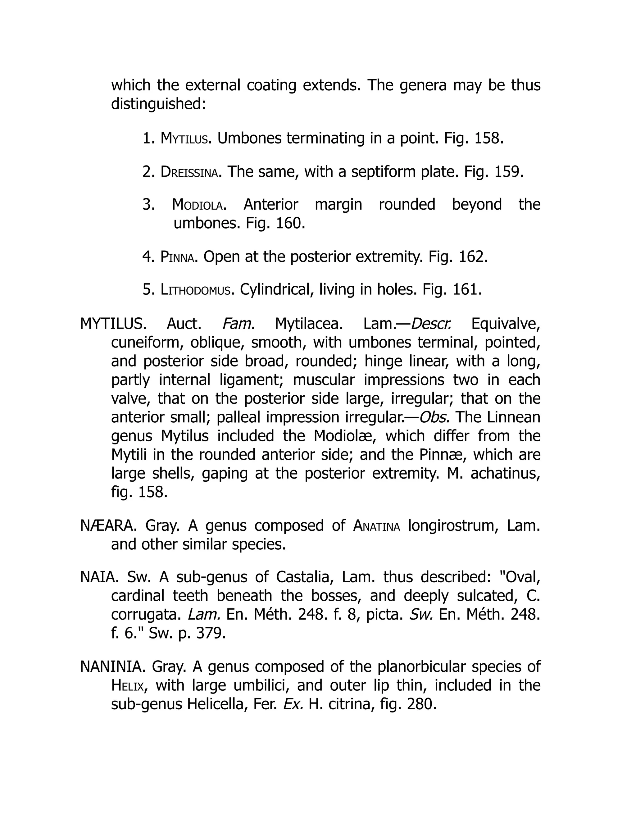 which the external coating extends. The genera may be thus
distinguished:
1. Mytilus. Umbones terminating in a point. Fig. 158.
2. Dreissina. The same, with a septiform plate. Fig. 159.
3. Modiola. Anterior margin rounded beyond the
umbones. Fig. 160.
4. Pinna. Open at the posterior extremity. Fig. 162.
5. Lithodomus. Cylindrical, living in holes. Fig. 161.
MYTILUS. Auct. Fam. Mytilacea. Lam.—Descr. Equivalve,
cuneiform, oblique, smooth, with umbones terminal, pointed,
and posterior side broad, rounded; hinge linear, with a long,
partly internal ligament; muscular impressions two in each
valve, that on the posterior side large, irregular; that on the
anterior small; palleal impression irregular.—Obs. The Linnean
genus Mytilus included the Modiolæ, which differ from the
Mytili in the rounded anterior side; and the Pinnæ, which are
large shells, gaping at the posterior extremity. M. achatinus,
fig. 158.
NÆARA. Gray. A genus composed of Anatina longirostrum, Lam.
and other similar species.
NAIA. Sw. A sub-genus of Castalia, Lam. thus described: Oval,
cardinal teeth beneath the bosses, and deeply sulcated, C.
corrugata. Lam. En. Méth. 248. f. 8, picta. Sw. En. Méth. 248.
f. 6. Sw. p. 379.
NANINIA. Gray. A genus composed of the planorbicular species of
Helix, with large umbilici, and outer lip thin, included in the
sub-genus Helicella, Fer. Ex. H. citrina, fig. 280.
 