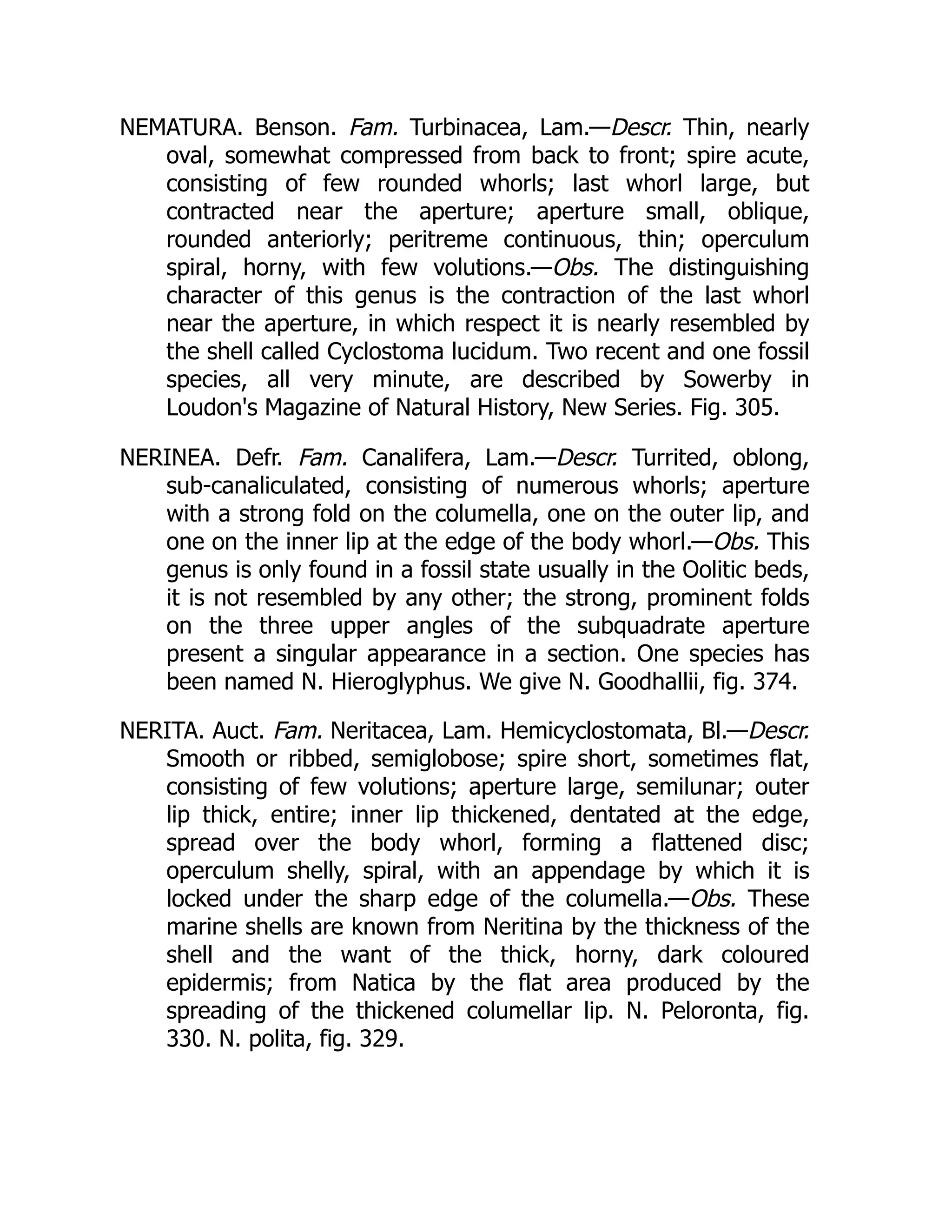 NEMATURA. Benson. Fam. Turbinacea, Lam.—Descr. Thin, nearly
oval, somewhat compressed from back to front; spire acute,
consisting of few rounded whorls; last whorl large, but
contracted near the aperture; aperture small, oblique,
rounded anteriorly; peritreme continuous, thin; operculum
spiral, horny, with few volutions.—Obs. The distinguishing
character of this genus is the contraction of the last whorl
near the aperture, in which respect it is nearly resembled by
the shell called Cyclostoma lucidum. Two recent and one fossil
species, all very minute, are described by Sowerby in
Loudon's Magazine of Natural History, New Series. Fig. 305.
NERINEA. Defr. Fam. Canalifera, Lam.—Descr. Turrited, oblong,
sub-canaliculated, consisting of numerous whorls; aperture
with a strong fold on the columella, one on the outer lip, and
one on the inner lip at the edge of the body whorl.—Obs. This
genus is only found in a fossil state usually in the Oolitic beds,
it is not resembled by any other; the strong, prominent folds
on the three upper angles of the subquadrate aperture
present a singular appearance in a section. One species has
been named N. Hieroglyphus. We give N. Goodhallii, fig. 374.
NERITA. Auct. Fam. Neritacea, Lam. Hemicyclostomata, Bl.—Descr.
Smooth or ribbed, semiglobose; spire short, sometimes flat,
consisting of few volutions; aperture large, semilunar; outer
lip thick, entire; inner lip thickened, dentated at the edge,
spread over the body whorl, forming a flattened disc;
operculum shelly, spiral, with an appendage by which it is
locked under the sharp edge of the columella.—Obs. These
marine shells are known from Neritina by the thickness of the
shell and the want of the thick, horny, dark coloured
epidermis; from Natica by the flat area produced by the
spreading of the thickened columellar lip. N. Peloronta, fig.
330. N. polita, fig. 329.
 