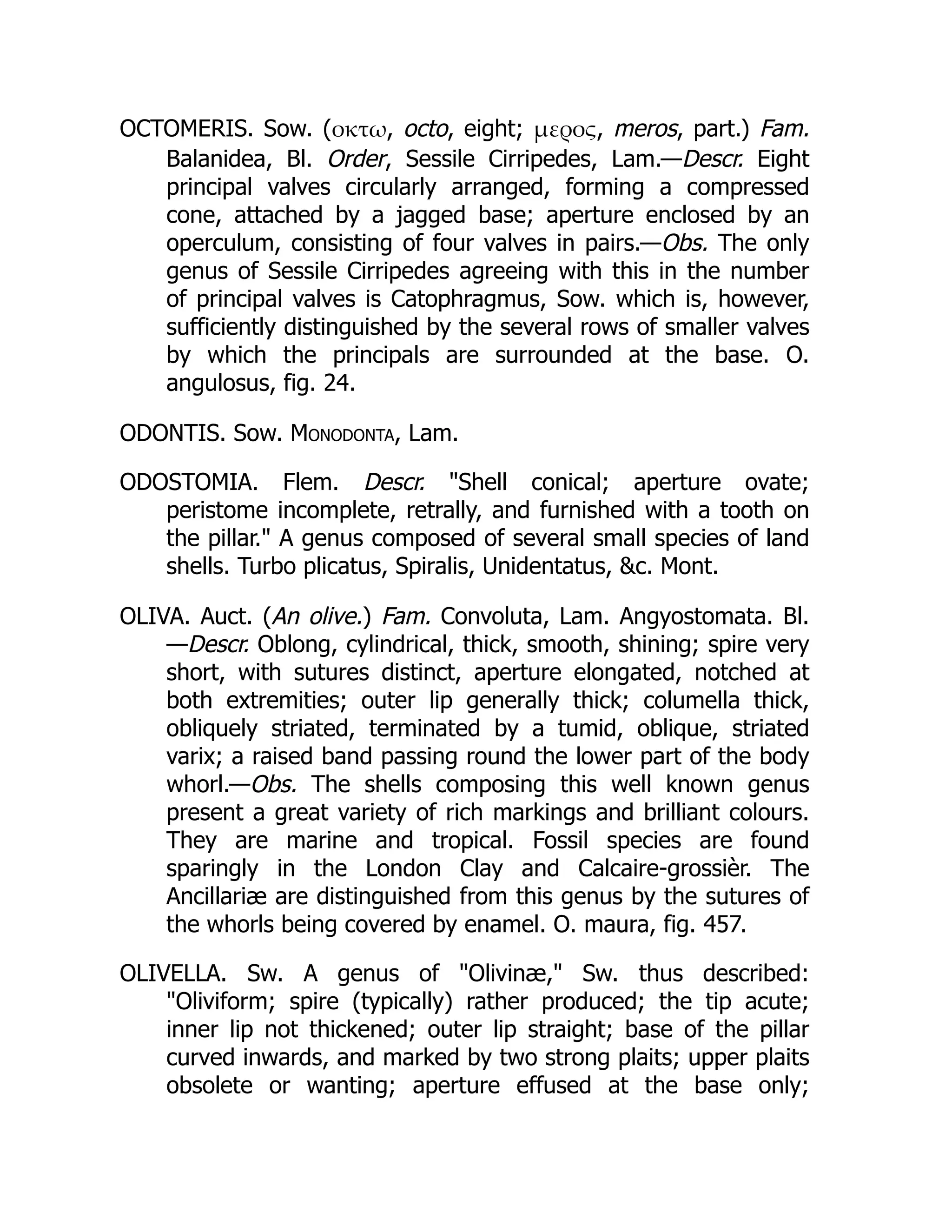 OCTOMERIS. Sow. (οκτω, octo, eight; μερος, meros, part.) Fam.
Balanidea, Bl. Order, Sessile Cirripedes, Lam.—Descr. Eight
principal valves circularly arranged, forming a compressed
cone, attached by a jagged base; aperture enclosed by an
operculum, consisting of four valves in pairs.—Obs. The only
genus of Sessile Cirripedes agreeing with this in the number
of principal valves is Catophragmus, Sow. which is, however,
sufficiently distinguished by the several rows of smaller valves
by which the principals are surrounded at the base. O.
angulosus, fig. 24.
ODONTIS. Sow. Monodonta, Lam.
ODOSTOMIA. Flem. Descr. Shell conical; aperture ovate;
peristome incomplete, retrally, and furnished with a tooth on
the pillar. A genus composed of several small species of land
shells. Turbo plicatus, Spiralis, Unidentatus, c. Mont.
OLIVA. Auct. (An olive.) Fam. Convoluta, Lam. Angyostomata. Bl.
—Descr. Oblong, cylindrical, thick, smooth, shining; spire very
short, with sutures distinct, aperture elongated, notched at
both extremities; outer lip generally thick; columella thick,
obliquely striated, terminated by a tumid, oblique, striated
varix; a raised band passing round the lower part of the body
whorl.—Obs. The shells composing this well known genus
present a great variety of rich markings and brilliant colours.
They are marine and tropical. Fossil species are found
sparingly in the London Clay and Calcaire-grossièr. The
Ancillariæ are distinguished from this genus by the sutures of
the whorls being covered by enamel. O. maura, fig. 457.
OLIVELLA. Sw. A genus of Olivinæ, Sw. thus described:
Oliviform; spire (typically) rather produced; the tip acute;
inner lip not thickened; outer lip straight; base of the pillar
curved inwards, and marked by two strong plaits; upper plaits
obsolete or wanting; aperture effused at the base only;
 