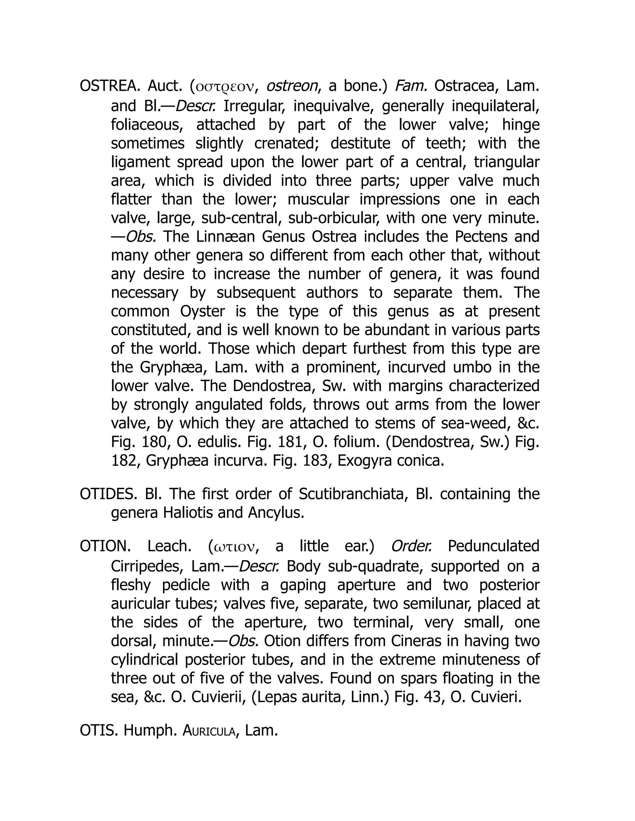 OSTREA. Auct. (οστρεον, ostreon, a bone.) Fam. Ostracea, Lam.
and Bl.—Descr. Irregular, inequivalve, generally inequilateral,
foliaceous, attached by part of the lower valve; hinge
sometimes slightly crenated; destitute of teeth; with the
ligament spread upon the lower part of a central, triangular
area, which is divided into three parts; upper valve much
flatter than the lower; muscular impressions one in each
valve, large, sub-central, sub-orbicular, with one very minute.
—Obs. The Linnæan Genus Ostrea includes the Pectens and
many other genera so different from each other that, without
any desire to increase the number of genera, it was found
necessary by subsequent authors to separate them. The
common Oyster is the type of this genus as at present
constituted, and is well known to be abundant in various parts
of the world. Those which depart furthest from this type are
the Gryphæa, Lam. with a prominent, incurved umbo in the
lower valve. The Dendostrea, Sw. with margins characterized
by strongly angulated folds, throws out arms from the lower
valve, by which they are attached to stems of sea-weed, c.
Fig. 180, O. edulis. Fig. 181, O. folium. (Dendostrea, Sw.) Fig.
182, Gryphæa incurva. Fig. 183, Exogyra conica.
OTIDES. Bl. The first order of Scutibranchiata, Bl. containing the
genera Haliotis and Ancylus.
OTION. Leach. (ωτιον, a little ear.) Order. Pedunculated
Cirripedes, Lam.—Descr. Body sub-quadrate, supported on a
fleshy pedicle with a gaping aperture and two posterior
auricular tubes; valves five, separate, two semilunar, placed at
the sides of the aperture, two terminal, very small, one
dorsal, minute.—Obs. Otion differs from Cineras in having two
cylindrical posterior tubes, and in the extreme minuteness of
three out of five of the valves. Found on spars floating in the
sea, c. O. Cuvierii, (Lepas aurita, Linn.) Fig. 43, O. Cuvieri.
OTIS. Humph. Auricula, Lam.
 