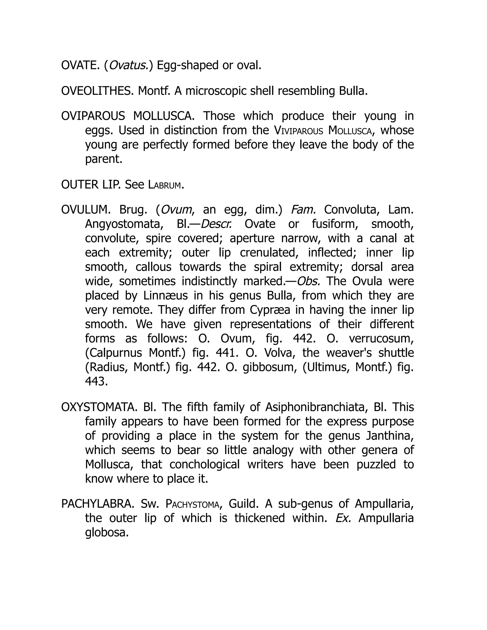 OVATE. (Ovatus.) Egg-shaped or oval.
OVEOLITHES. Montf. A microscopic shell resembling Bulla.
OVIPAROUS MOLLUSCA. Those which produce their young in
eggs. Used in distinction from the Viviparous Mollusca, whose
young are perfectly formed before they leave the body of the
parent.
OUTER LIP. See Labrum.
OVULUM. Brug. (Ovum, an egg, dim.) Fam. Convoluta, Lam.
Angyostomata, Bl.—Descr. Ovate or fusiform, smooth,
convolute, spire covered; aperture narrow, with a canal at
each extremity; outer lip crenulated, inflected; inner lip
smooth, callous towards the spiral extremity; dorsal area
wide, sometimes indistinctly marked.—Obs. The Ovula were
placed by Linnæus in his genus Bulla, from which they are
very remote. They differ from Cypræa in having the inner lip
smooth. We have given representations of their different
forms as follows: O. Ovum, fig. 442. O. verrucosum,
(Calpurnus Montf.) fig. 441. O. Volva, the weaver's shuttle
(Radius, Montf.) fig. 442. O. gibbosum, (Ultimus, Montf.) fig.
443.
OXYSTOMATA. Bl. The fifth family of Asiphonibranchiata, Bl. This
family appears to have been formed for the express purpose
of providing a place in the system for the genus Janthina,
which seems to bear so little analogy with other genera of
Mollusca, that conchological writers have been puzzled to
know where to place it.
PACHYLABRA. Sw. Pachystoma, Guild. A sub-genus of Ampullaria,
the outer lip of which is thickened within. Ex. Ampullaria
globosa.
 
