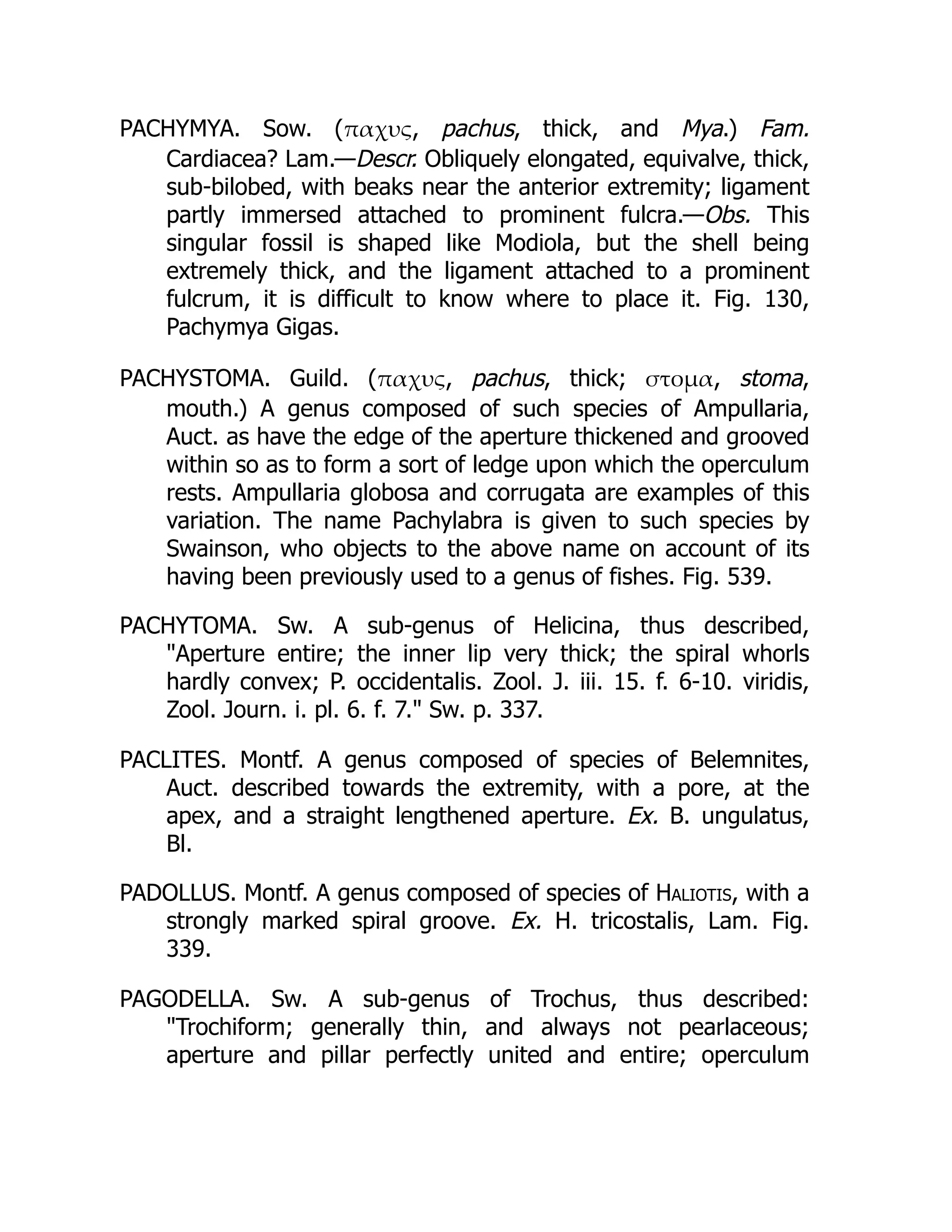 PACHYMYA. Sow. (παχυς, pachus, thick, and Mya.) Fam.
Cardiacea? Lam.—Descr. Obliquely elongated, equivalve, thick,
sub-bilobed, with beaks near the anterior extremity; ligament
partly immersed attached to prominent fulcra.—Obs. This
singular fossil is shaped like Modiola, but the shell being
extremely thick, and the ligament attached to a prominent
fulcrum, it is difficult to know where to place it. Fig. 130,
Pachymya Gigas.
PACHYSTOMA. Guild. (παχυς, pachus, thick; στομα, stoma,
mouth.) A genus composed of such species of Ampullaria,
Auct. as have the edge of the aperture thickened and grooved
within so as to form a sort of ledge upon which the operculum
rests. Ampullaria globosa and corrugata are examples of this
variation. The name Pachylabra is given to such species by
Swainson, who objects to the above name on account of its
having been previously used to a genus of fishes. Fig. 539.
PACHYTOMA. Sw. A sub-genus of Helicina, thus described,
Aperture entire; the inner lip very thick; the spiral whorls
hardly convex; P. occidentalis. Zool. J. iii. 15. f. 6-10. viridis,
Zool. Journ. i. pl. 6. f. 7. Sw. p. 337.
PACLITES. Montf. A genus composed of species of Belemnites,
Auct. described towards the extremity, with a pore, at the
apex, and a straight lengthened aperture. Ex. B. ungulatus,
Bl.
PADOLLUS. Montf. A genus composed of species of Haliotis, with a
strongly marked spiral groove. Ex. H. tricostalis, Lam. Fig.
339.
PAGODELLA. Sw. A sub-genus of Trochus, thus described:
Trochiform; generally thin, and always not pearlaceous;
aperture and pillar perfectly united and entire; operculum
 