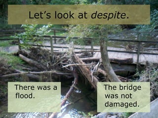 Let’s look at despite.
There was a
flood.
The bridge
was not
damaged.
 