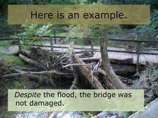 Here is an example.
Despite the flood, the bridge was
not damaged.
 