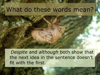 What do these words mean?
Despite and although both show that
the next idea in the sentence doesn’t
fit with the first.
 