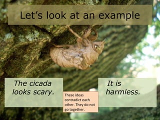 Let’s look at an example
The cicada
looks scary.
It is
harmless.These ideas
contradict each
other. They do not
go together.
 