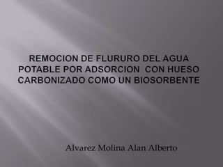 Alvarez Molina Alan Alberto
 