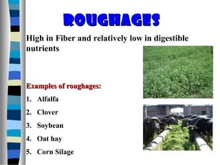 21 animal nutrition and feeds | PPT