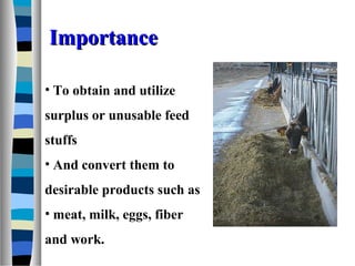 21 animal nutrition and feeds | PPT