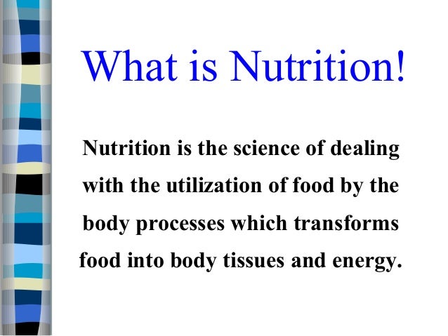 Nutrition In Animals Ppt Slideshare - short-beach-style-wedding