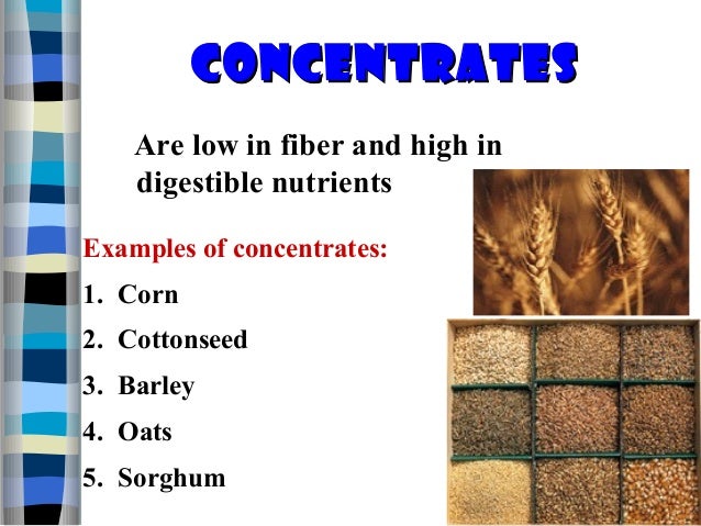 21 animal nutrition and feeds