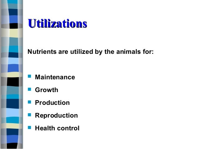 21 animal nutrition and feeds