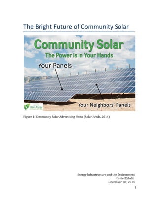  
1	
  
	
  
The	
  Bright	
  Future	
  of	
  Community	
  Solar	
  	
  
	
  
Figure	
  1:	
  Community	
  Solar	
  Advertising	
  Photo	
  (Solar	
  Feeds,	
  2014)	
  	
  
	
  
	
  
	
  
	
  
	
  
	
  
	
  
	
  
	
  
	
  
	
  
	
  
	
  
	
  
Energy	
  Infrastructure	
  and	
  the	
  Environment	
  
Daniel	
  DiIulio	
  	
  
December	
  1st,	
  2014	
  
 