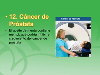 • El aceite de menta contiene
mentol, que podría inhibir el
crecimiento del cáncer de
próstata
 