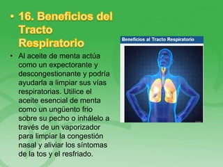 • Al aceite de menta actúa
como un expectorante y
descongestionante y podría
ayudarla a limpiar sus vías
respiratorias. Utilice el
aceite esencial de menta
como un ungüento frio
sobre su pecho o inhálelo a
través de un vaporizador
para limpiar la congestión
nasal y aliviar los síntomas
de la tos y el resfriado.
 