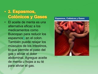 • El aceite de menta es una
alternativa eficaz a los
medicamentos como
Buscopan para reducir los
espasmos5 en el colon.
También puede relajar los
músculos de los intestinos,
lo que permite el paso del
gas y aliviar el dolor
abdominal. Agregue aceite
de menta u hojas a su té
para aliviar el gas.
 