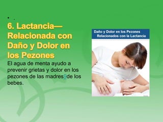 • .
El agua de menta ayudo a
prevenir grietas y dolor en los
pezones de las madres9de los
bebes.
 