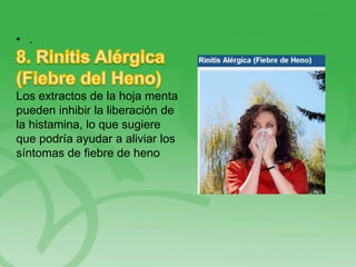 • .
Los extractos de la hoja menta
pueden inhibir la liberación de
la histamina, lo que sugiere
que podría ayudar a aliviar los
síntomas de fiebre de heno
 